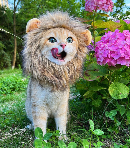 Lion Mane Wig for Cat Costume Pet Adjustable Washable Comfortable Fancy Lion Hair Cat Clothes Dress for Halloween Christmas Easter Festival Party Activity (Small, Brown)